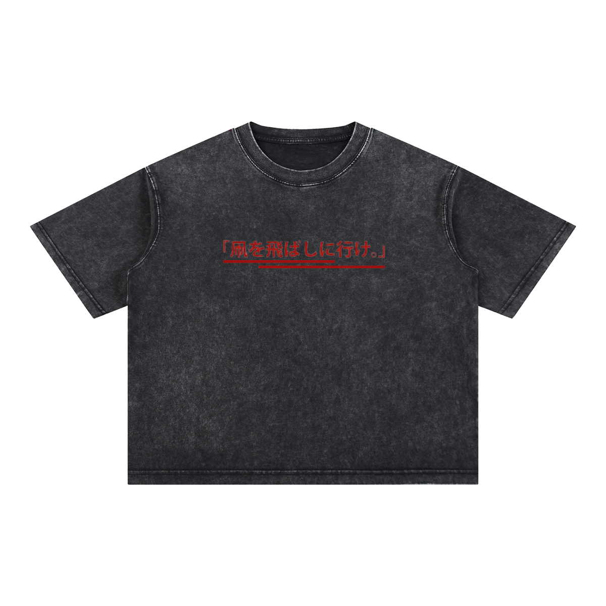 "Go Fly A Kite" Japanese Edition Boxy Tee