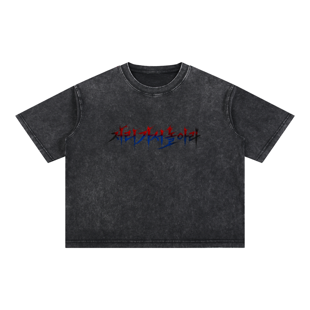 "Go Fly a Kite" Korean Edition Boxy Tee