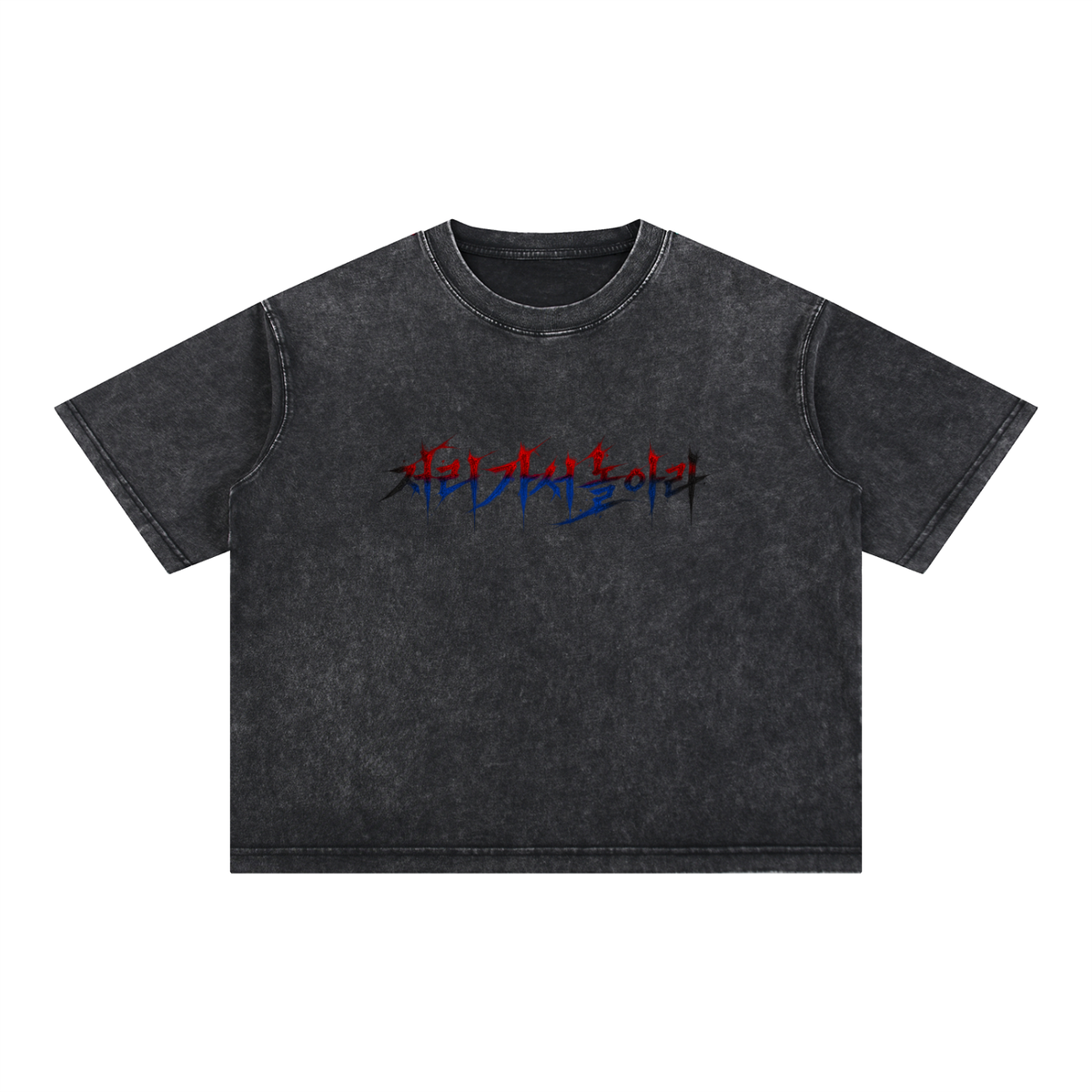 "Go Fly a Kite" Korean Edition Boxy Tee