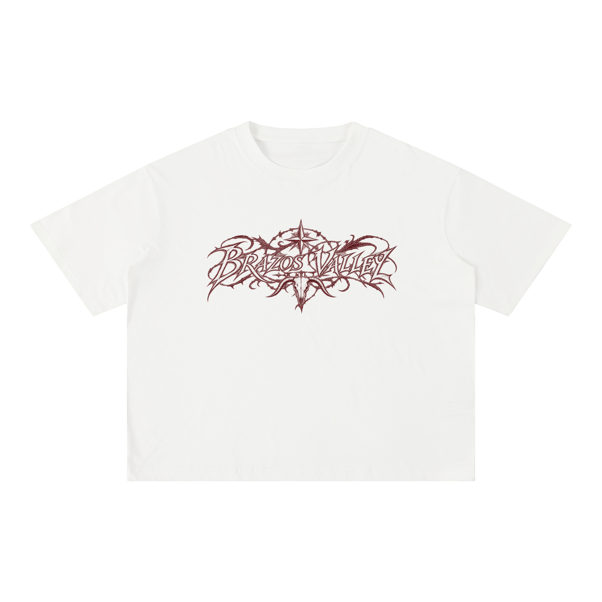 Brazos Valley Boxy Tee