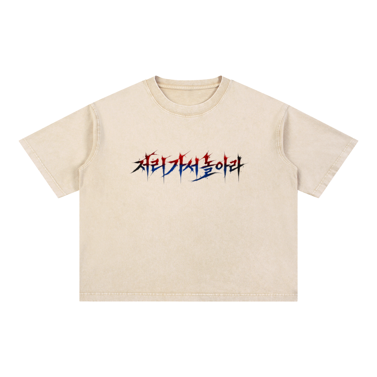 "Go Fly a Kite" Korean Edition Boxy Tee