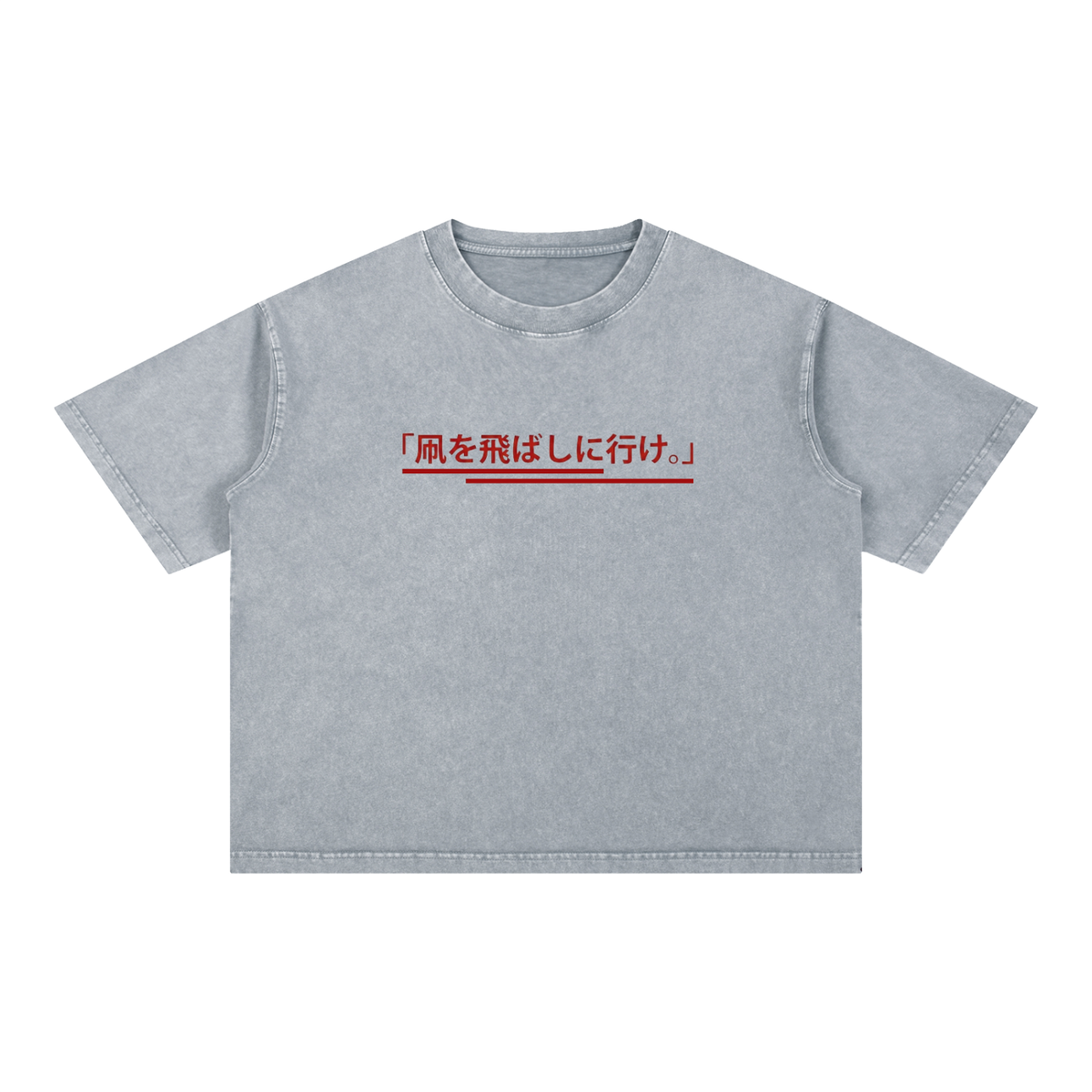 "Go Fly A Kite" Japanese Edition Boxy Tee