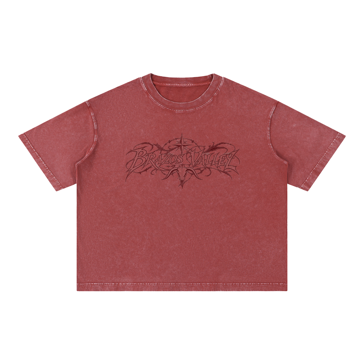 Brazos Valley Boxy Tee
