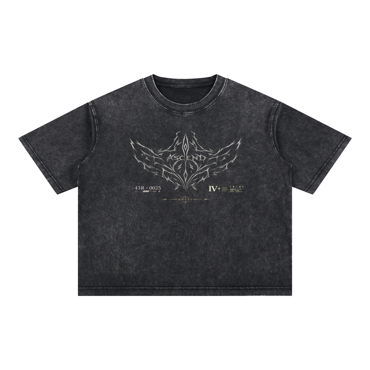 Ascend Boxy Tee