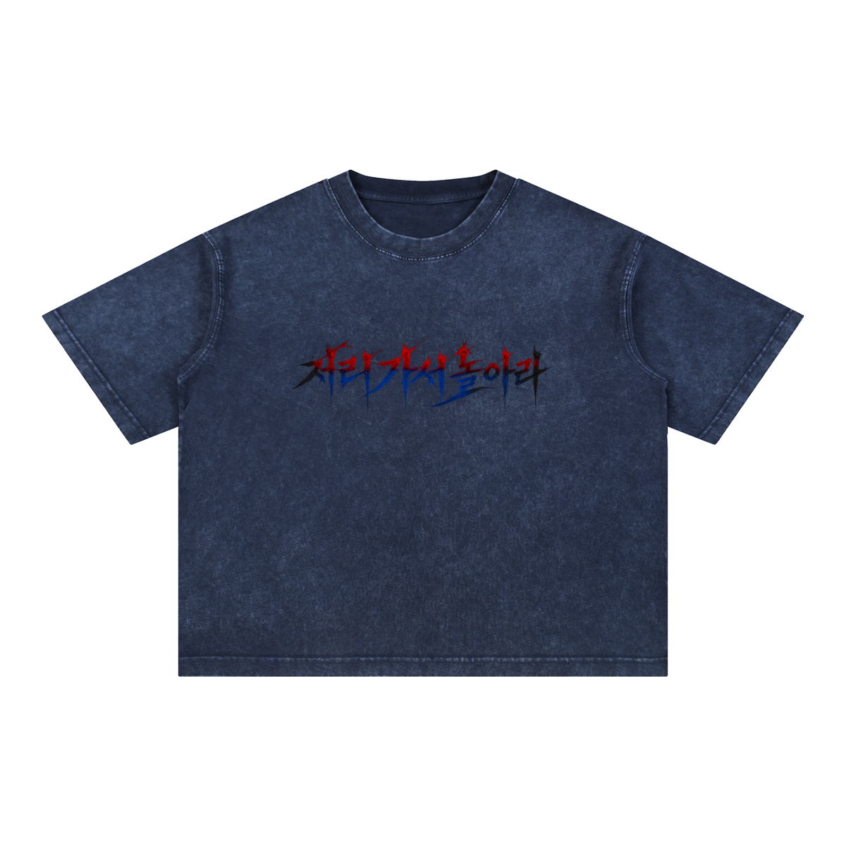 "Go Fly a Kite" Korean Edition Boxy Tee