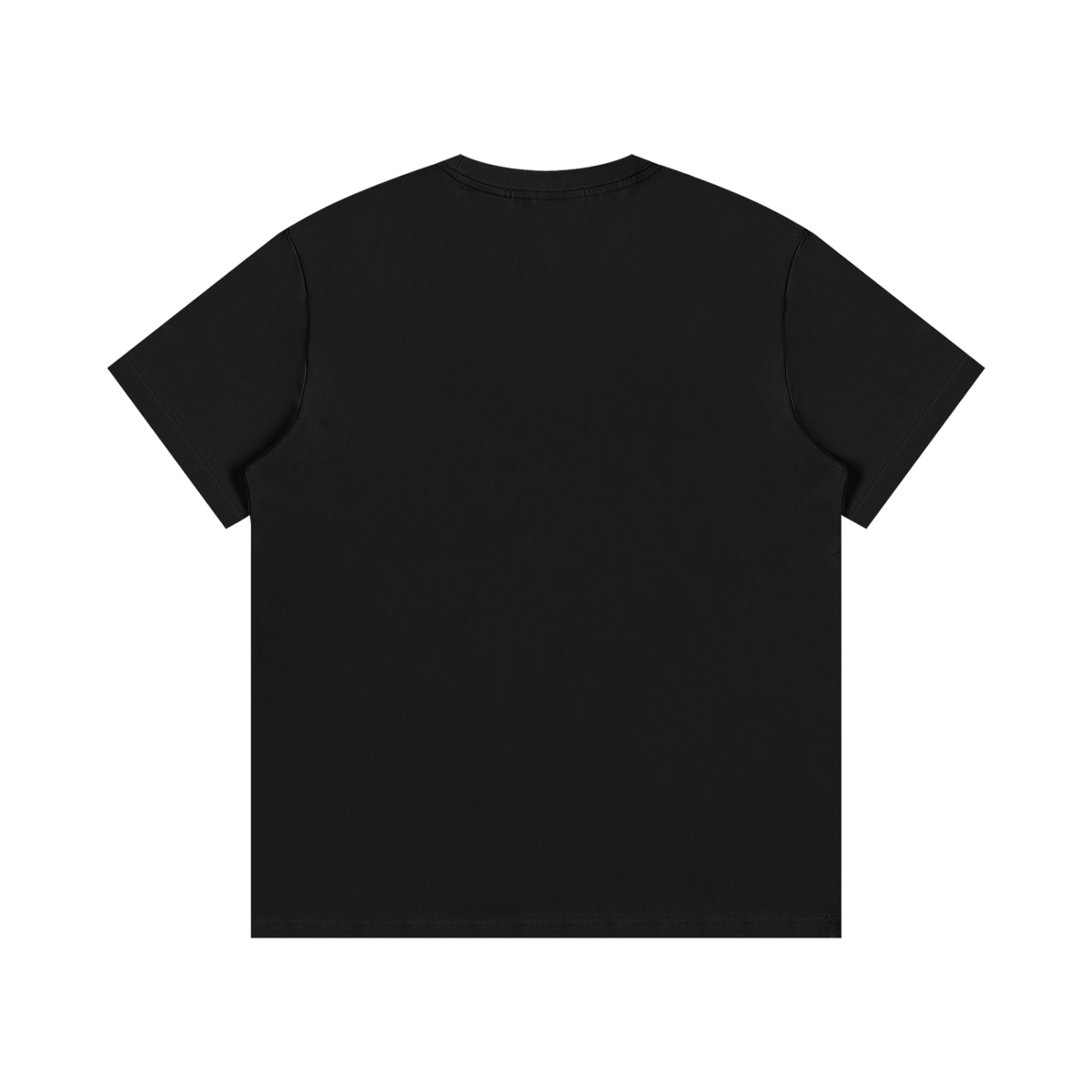 "Go Fly a Kite" Japanese Edition Regular Fit T-Shirt