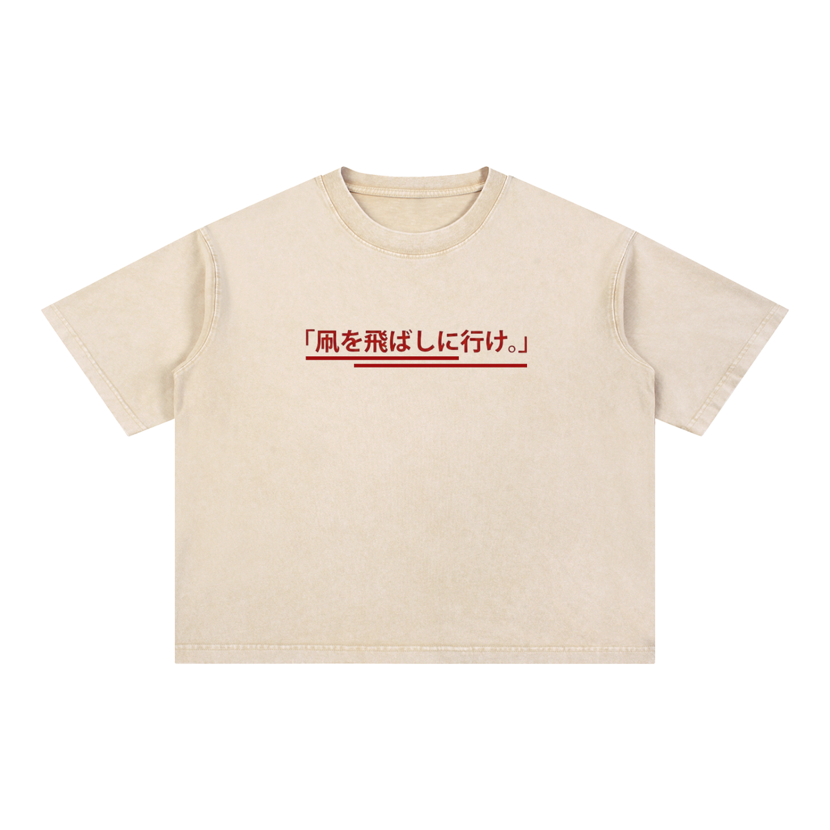 "Go Fly A Kite" Japanese Edition Boxy Tee
