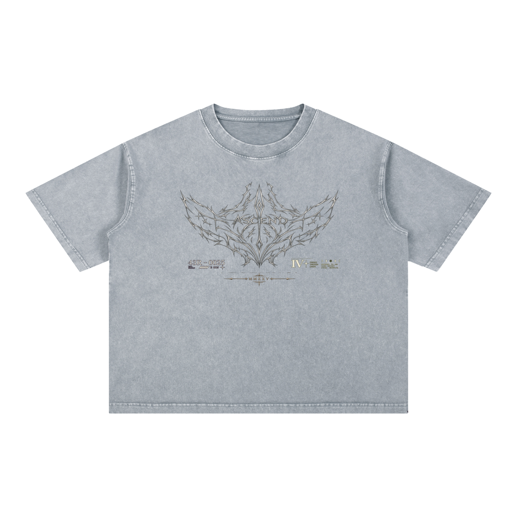 Ascend Boxy Tee